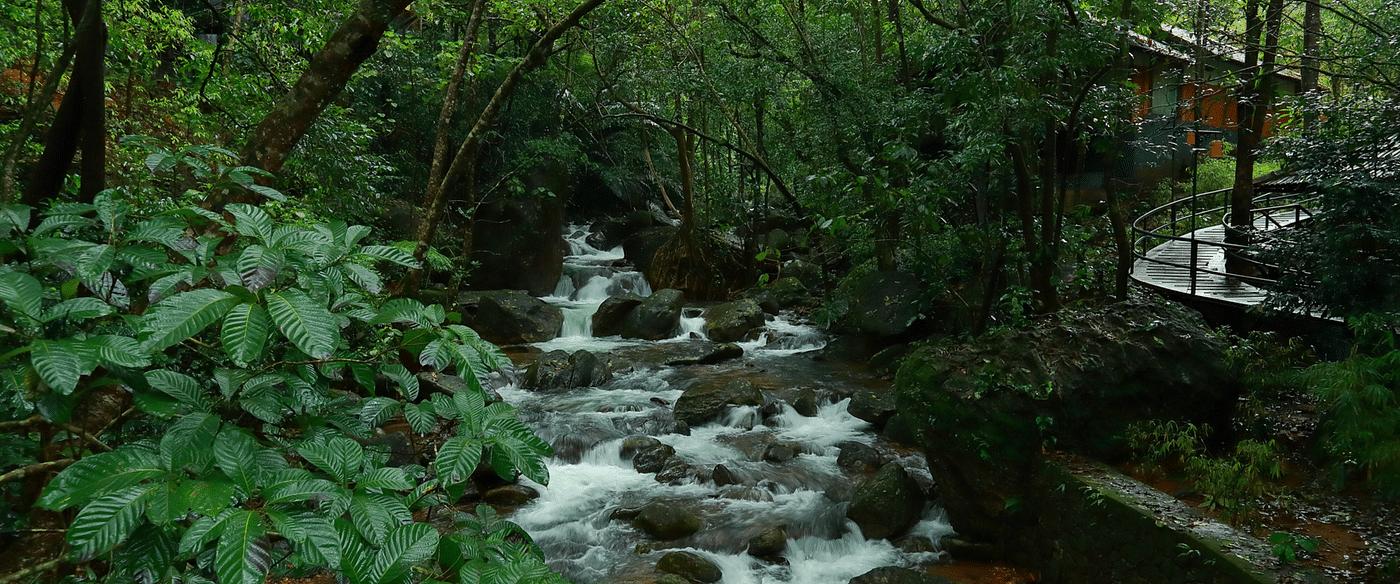 Water flowing through the rocks amidst greenery | Vythiri Resort, Wayanad